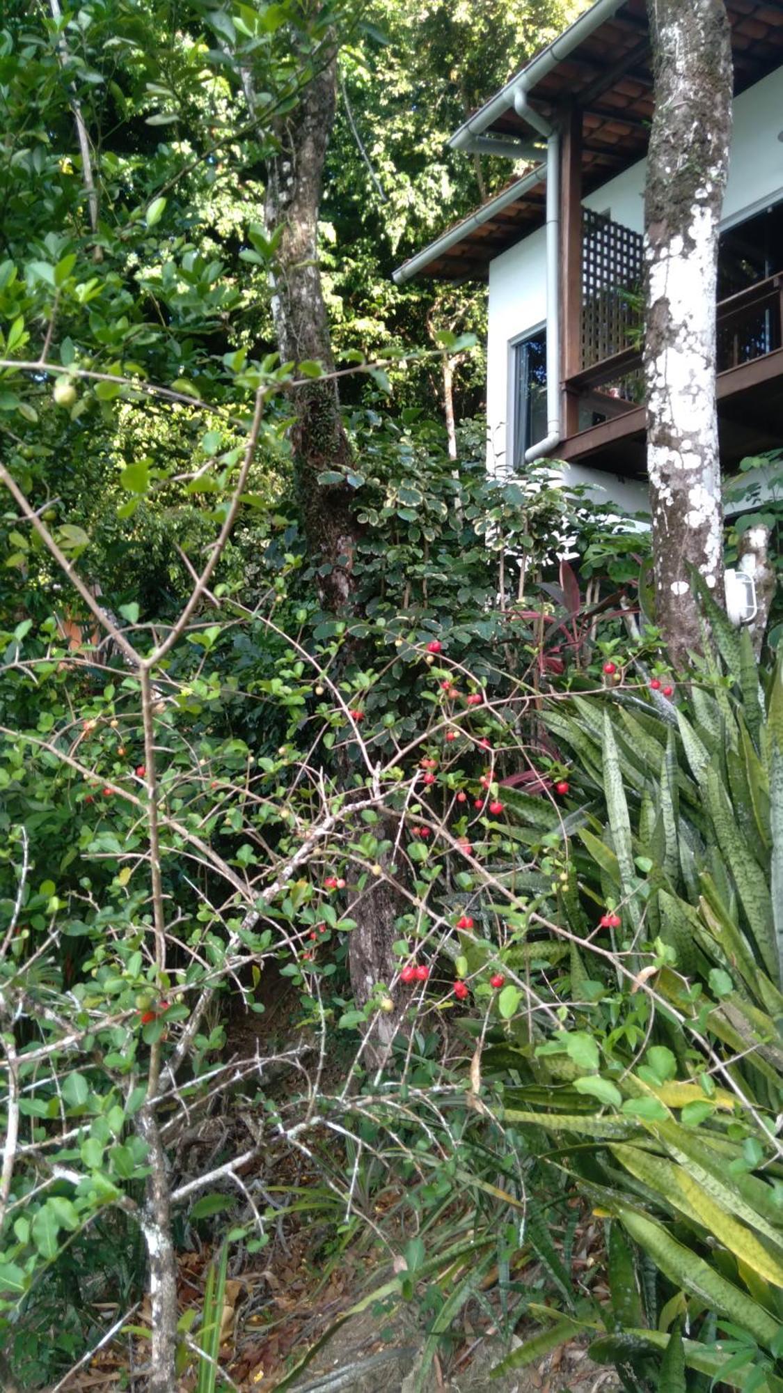 Casa Shuhari Villa Morro de São Paulo Eksteriør billede